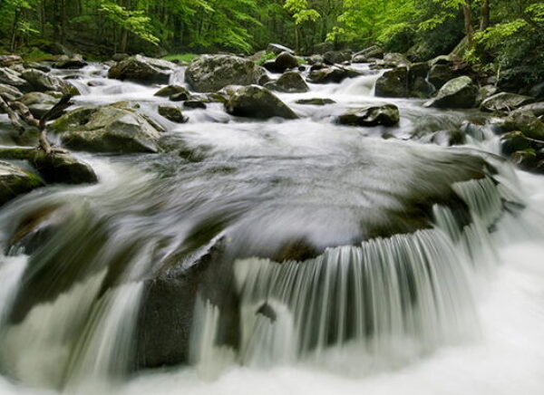 waterfall process sc720x385 t1558442520